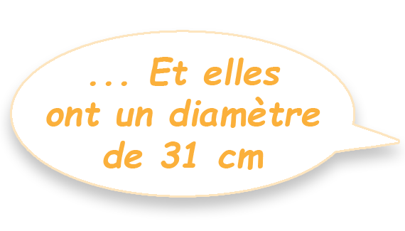 Elles ont un diamètre de 31cm